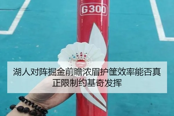 湖人对阵掘金前瞻浓眉护筐效率能否真正限制约基奇发挥