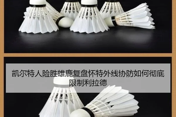 凯尔特人险胜雄鹿复盘怀特外线协防如何彻底限制利拉德